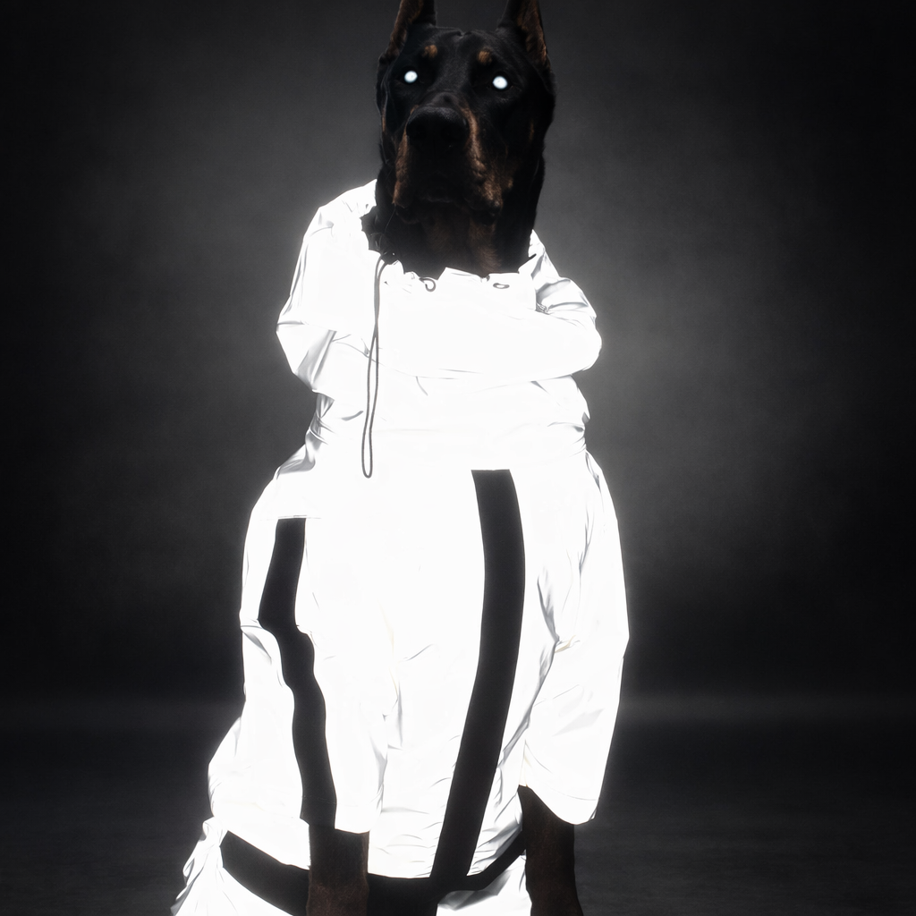 ⚡ NIGHT COMMANDER REFLECTIVE