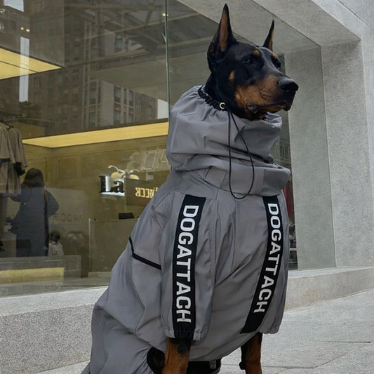 ⚡ NIGHT COMMANDER REFLECTIVE